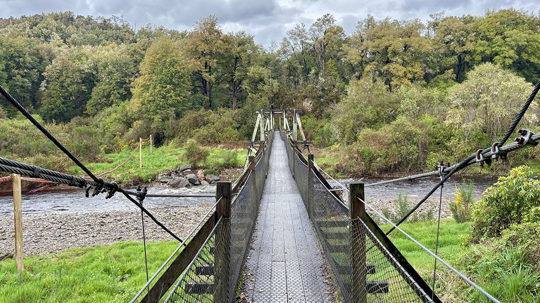 Callaghans Track, walk in West Coast