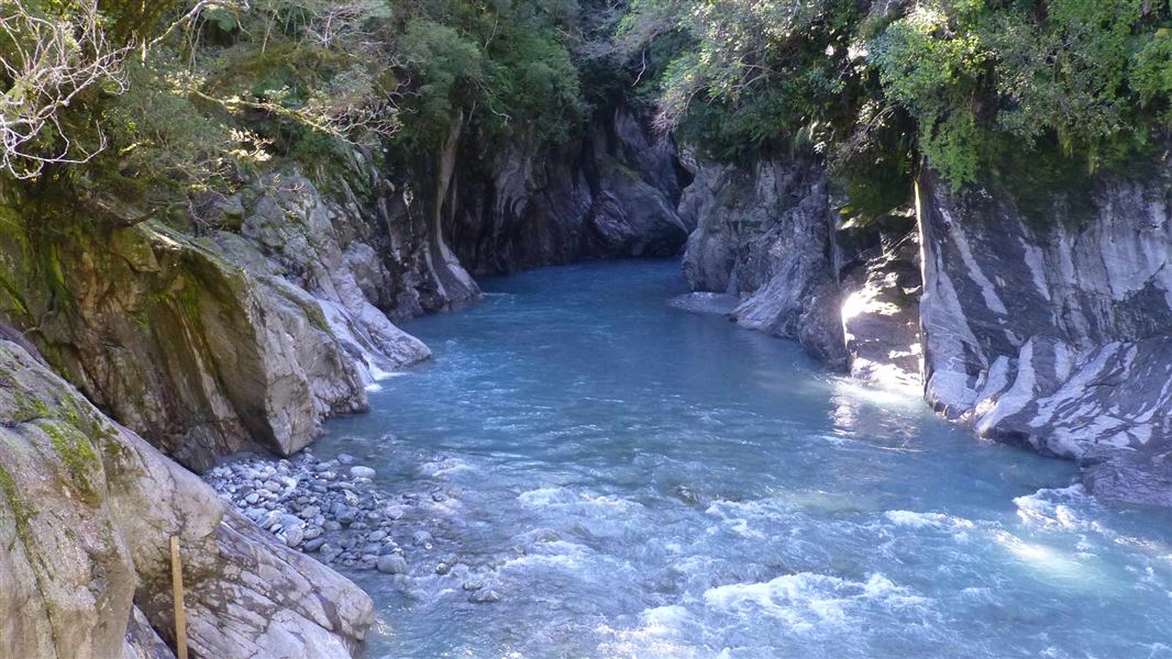 Callery Gorge Walk, walk in West Coast