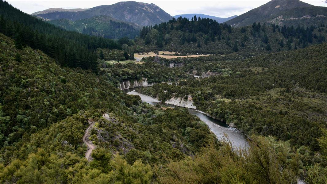 Cameron Carpark to Mt Kuripapango Track