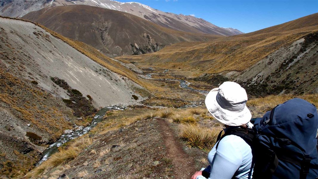 Camp Stream Hut Track