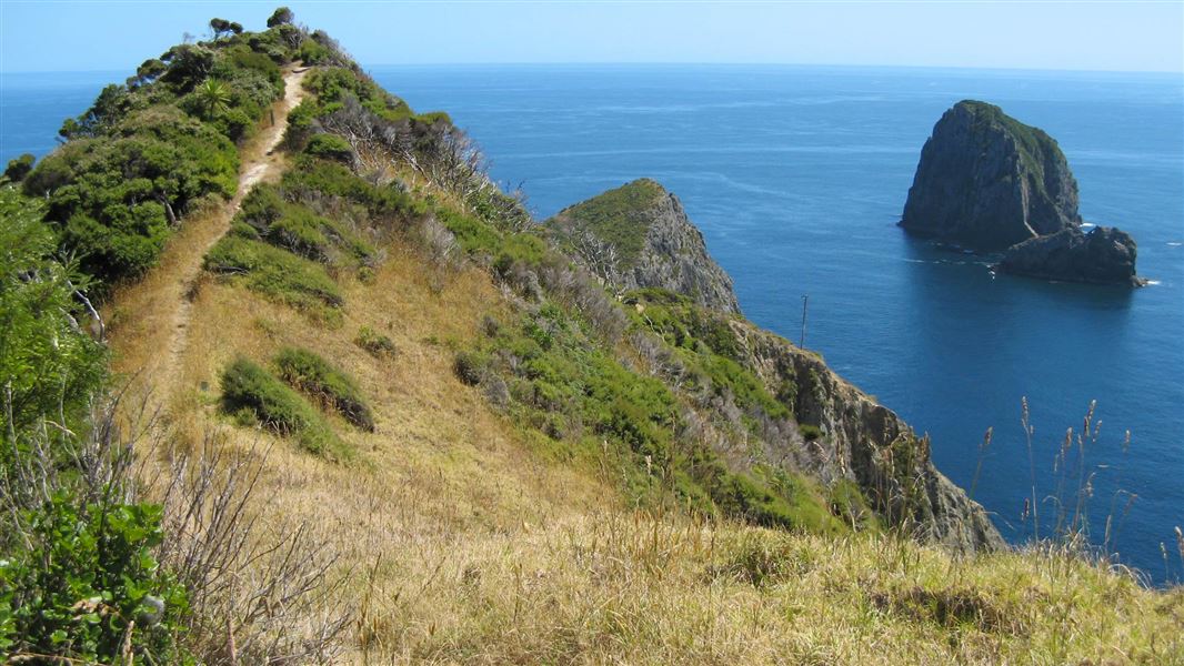 Cape Brett Track