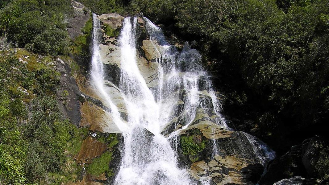 Carew Falls Track, walk in West Coast