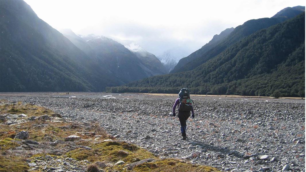 Carrington Hut Route