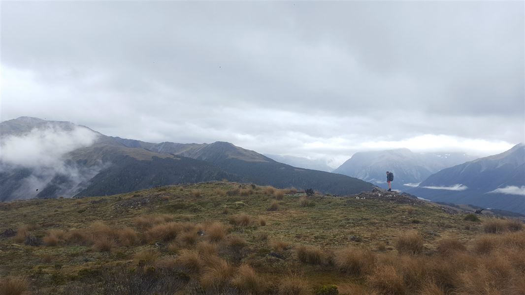 Cass-Lagoon Saddle Track, walk in Canterbury