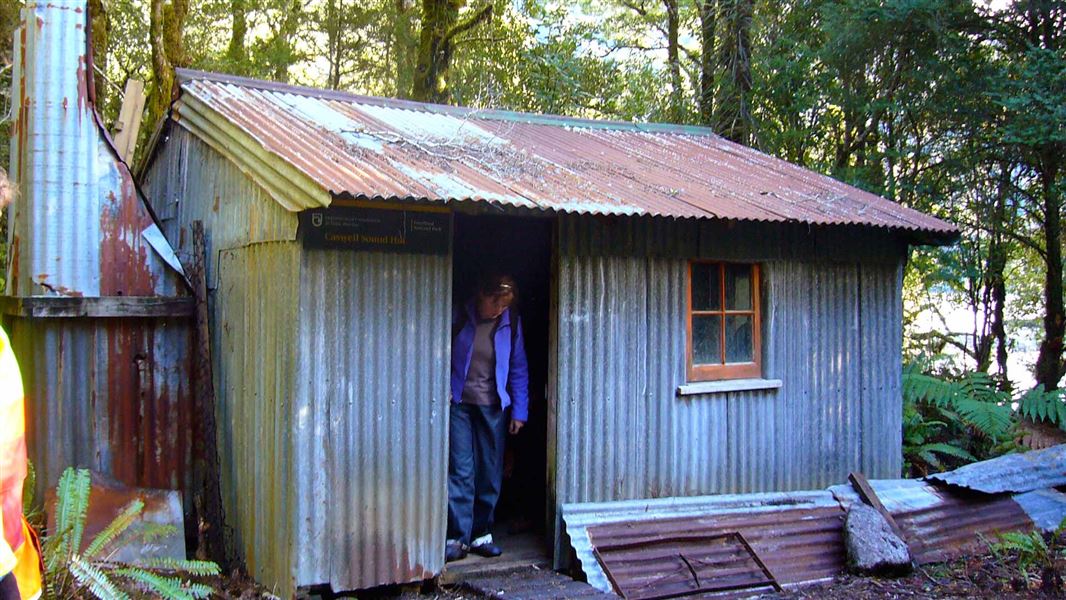 Caswell Sound Hut, hut in Southland