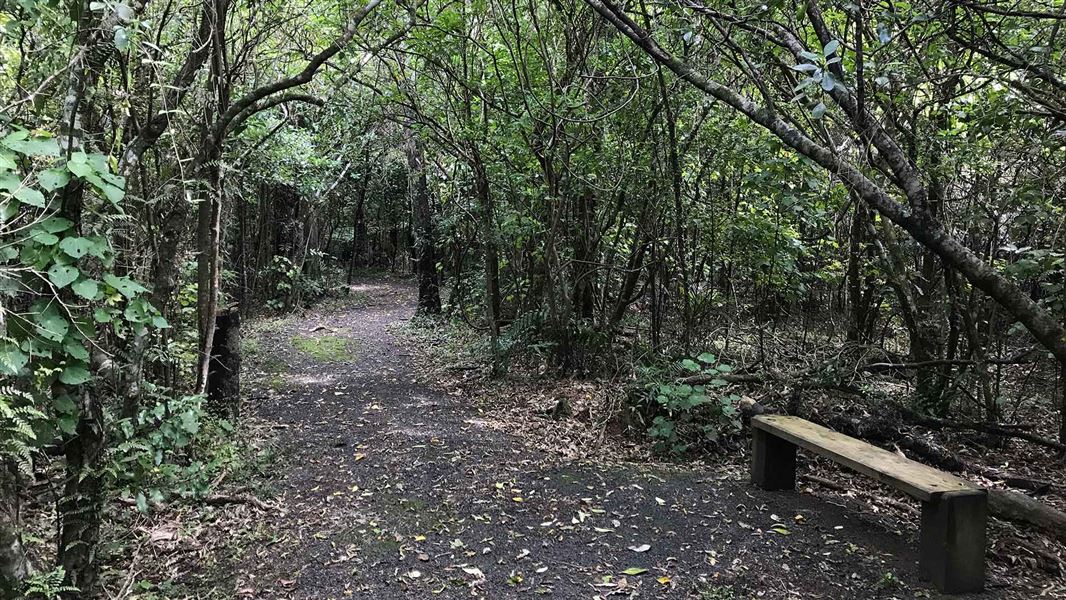Tawa Grove Walk, walk in Wellington