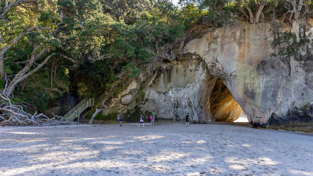 Mautohe Cathedral Cove Track