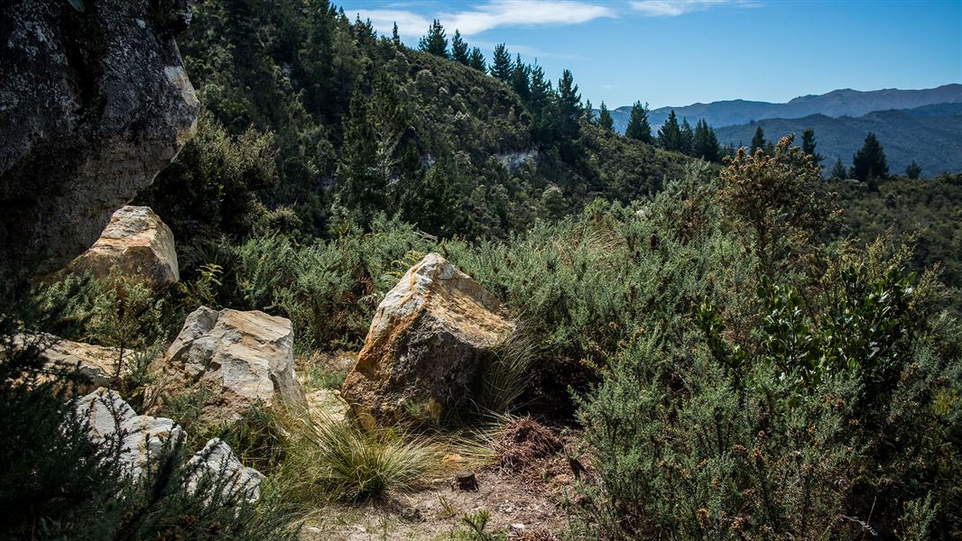 Chalkies Track, walk in Otago