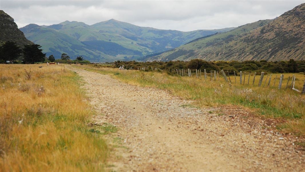 Christchurch to Little River Rail Trail