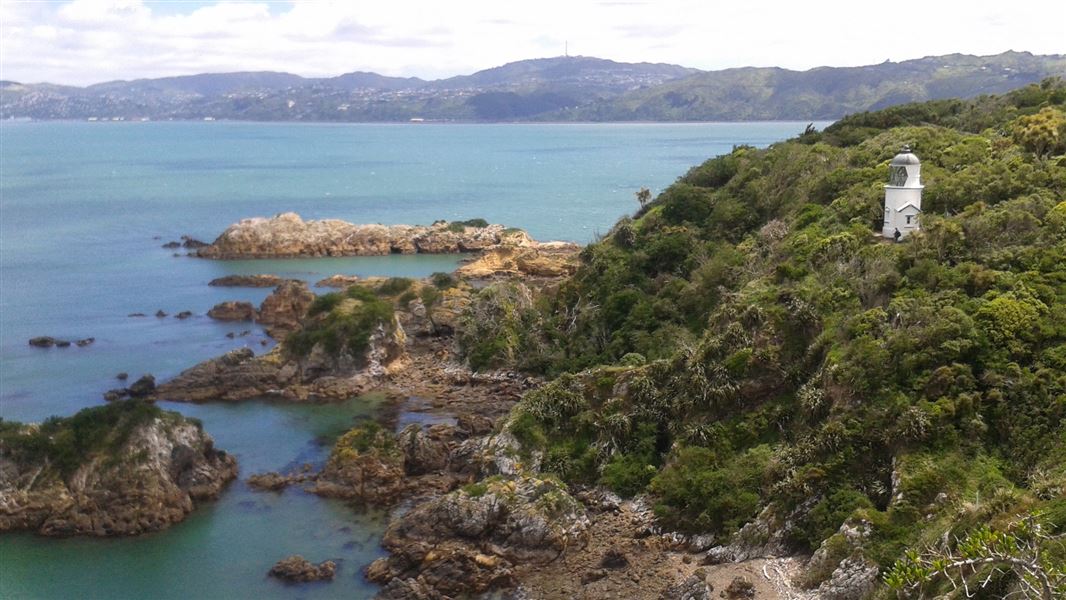 Matiu/Somes Island Loop Track