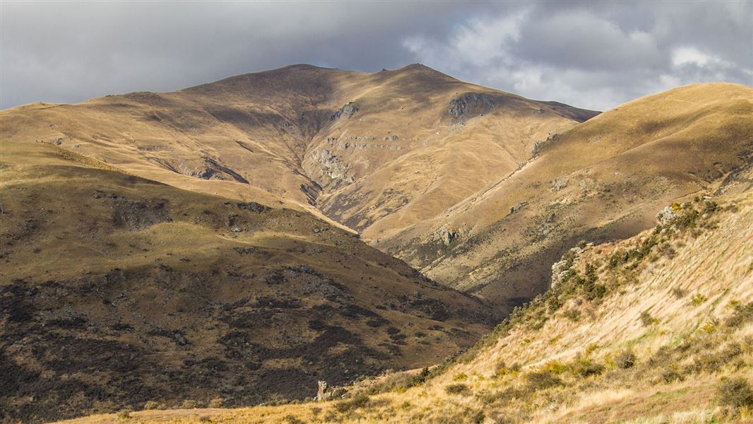 Cloudy Peak Track, walk in Otago