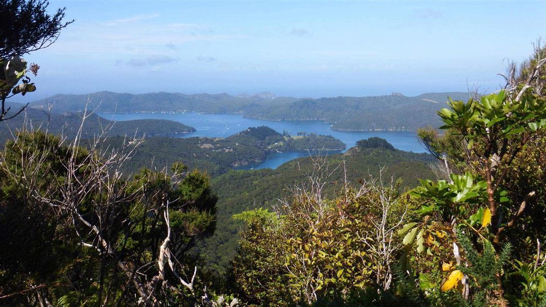 Port FitzRoy: Cooper's Castle Track