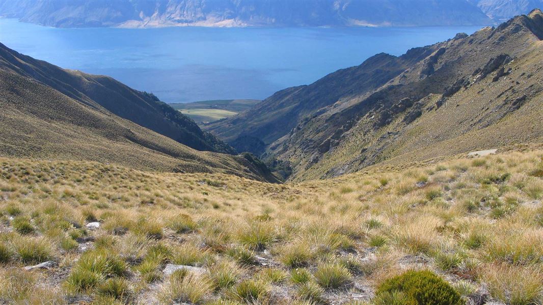 Craig Burn Track