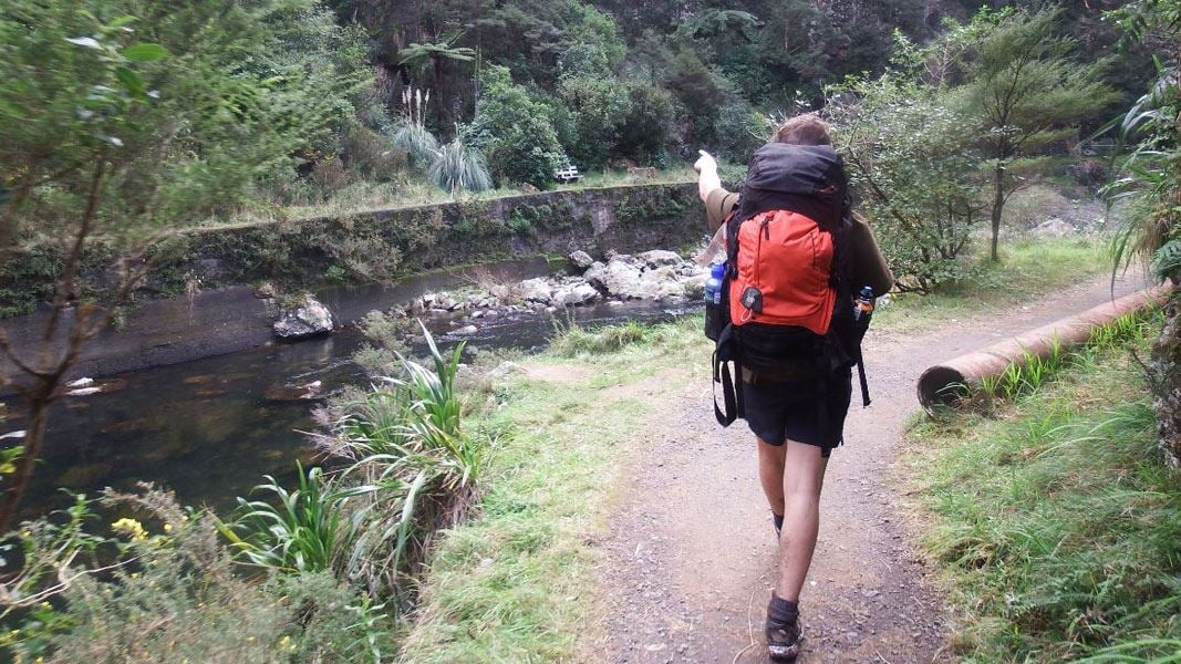 Crown Track to Dickey's Flat, walk in Waikato