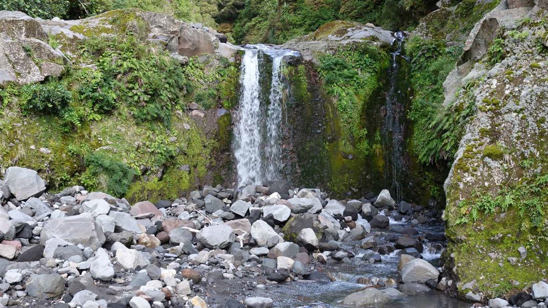 Curtis Falls Track