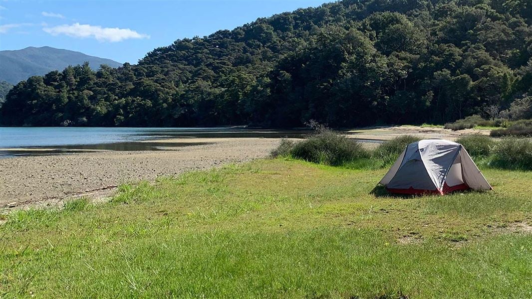 Davies Bay Campsite, campsite in Marlborough