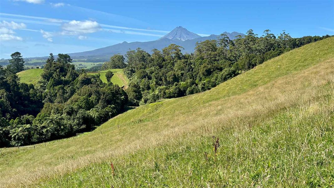 Davies Track