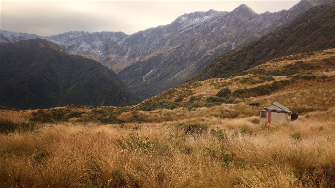 Dickie Spur Hut, hut in West Coast