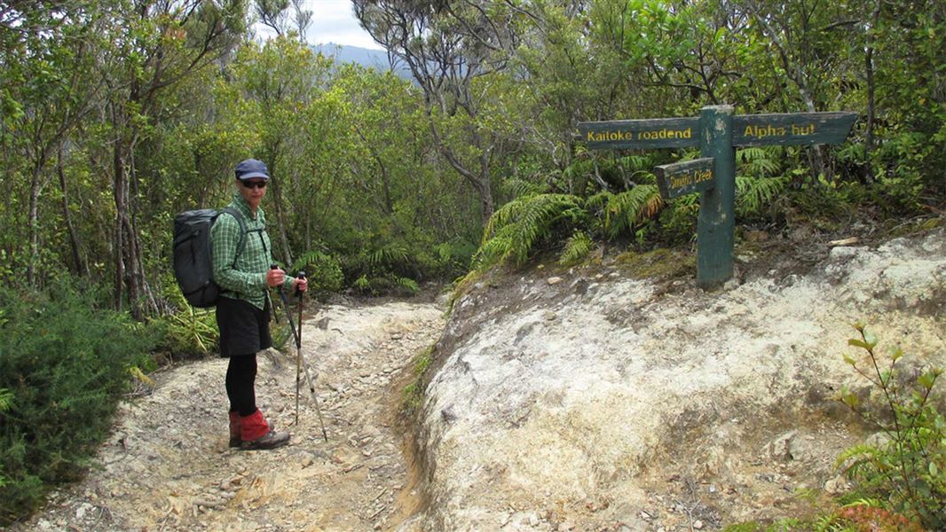 Dobson Loop Track, walk in Wellington