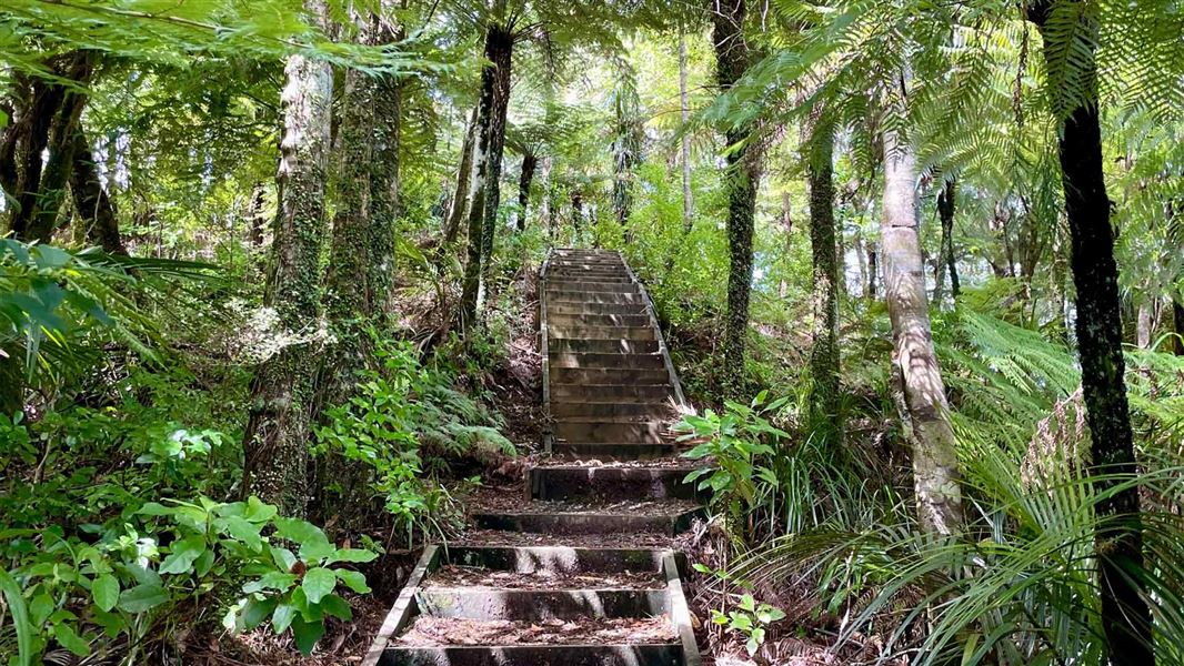 Dome Forest car park to lookout