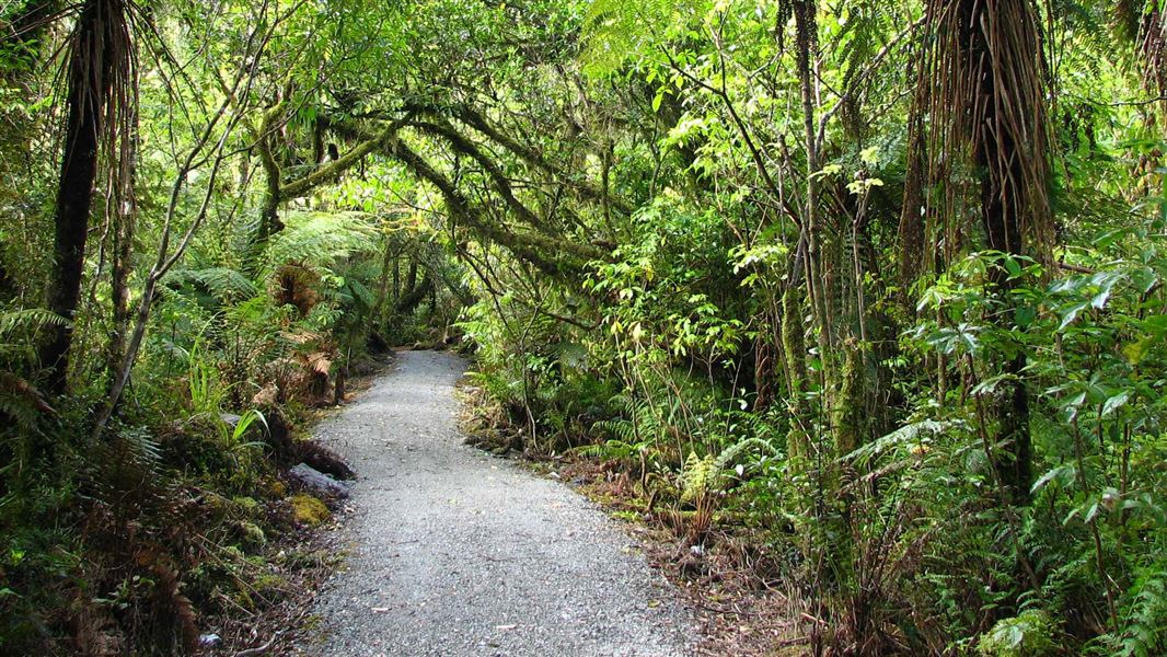 Douglas Walk