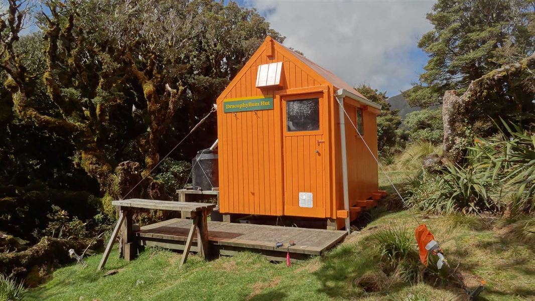 Dracophyllum Hut, hut in Wellington