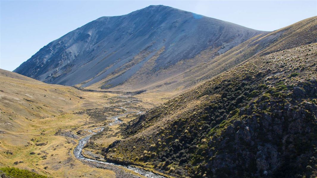 East Ahuriri Track