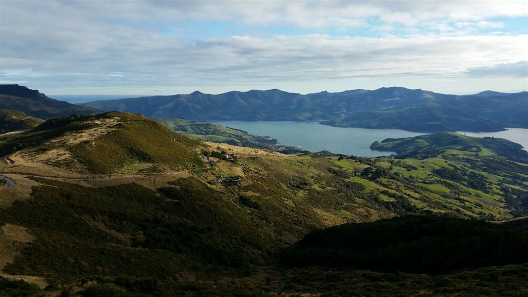 Ellangowan Scenic Reserve Track