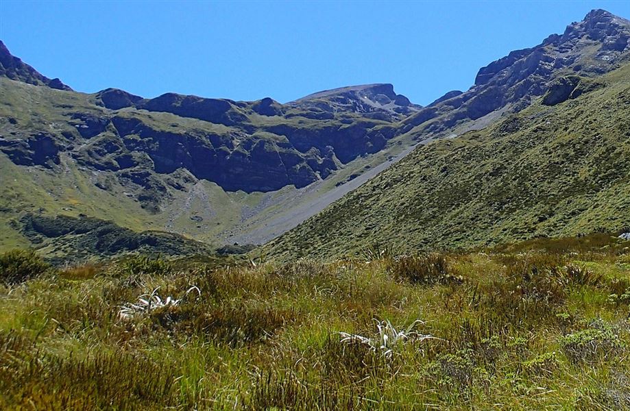 Ellis Basin Route