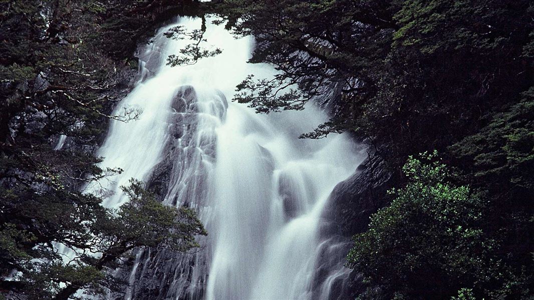 Fantail Falls Walk