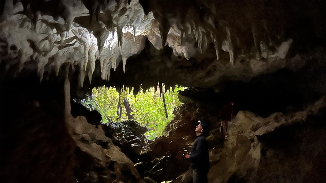 Fenian Caves Track