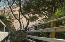 Nancy Fladgate Track, walk in Northland