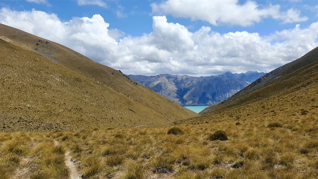 Flanagan Pass Trail