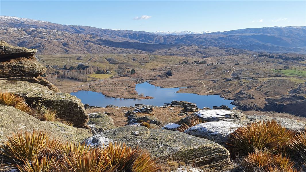 Flat Top Hill Tramping Track