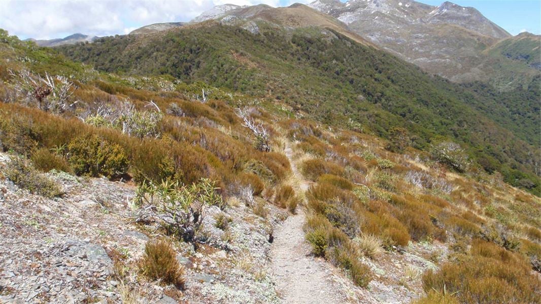 Flora Circuit (via Mt Arthur Hut and Flora Hut)