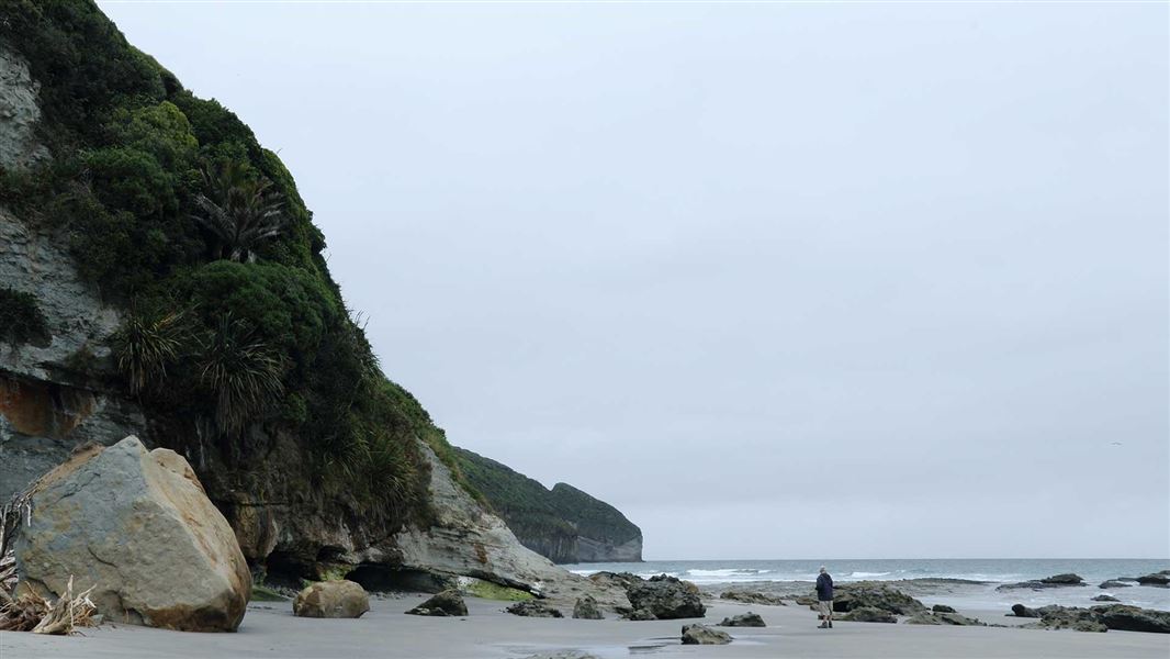 Fossil Point Track