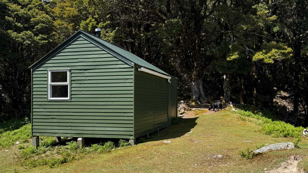 Fosters Hut, hut in Marlborough