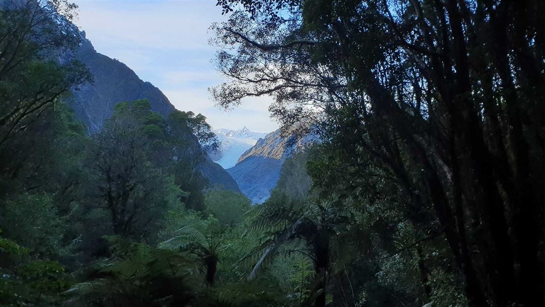 Fox Glacier South Side Walkway/Cycleway