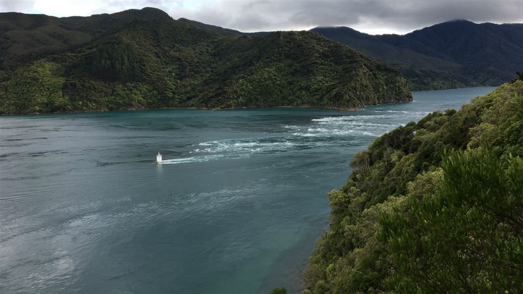 French Pass Lookout Track, walk in Marlborough