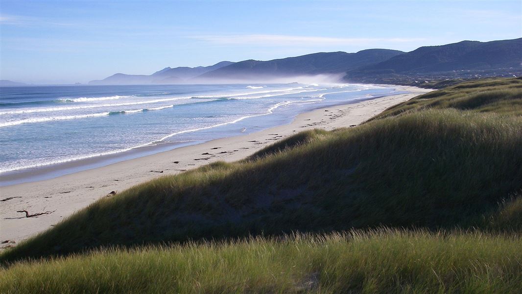 Freshwater Landing to Mason Bay, walk in Southland