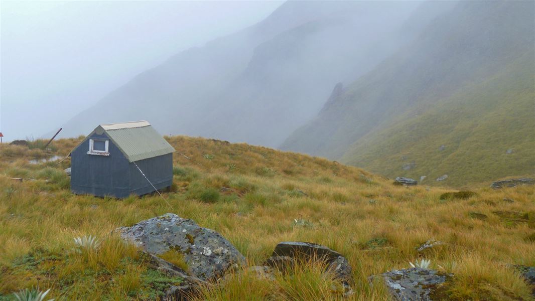 Frew Saddle Bivvy, hut in West Coast