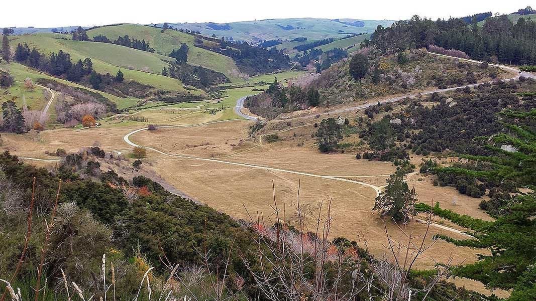 Gabriels Gully interpretation walk