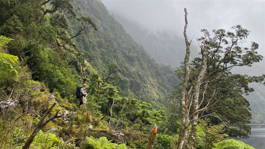 George Sound Route, walk in Southland