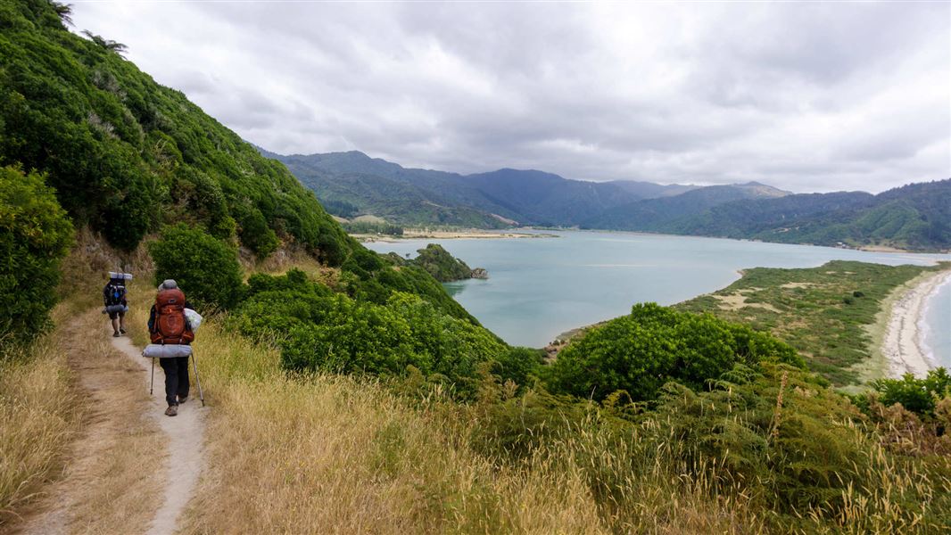 Gibbs Hill Track