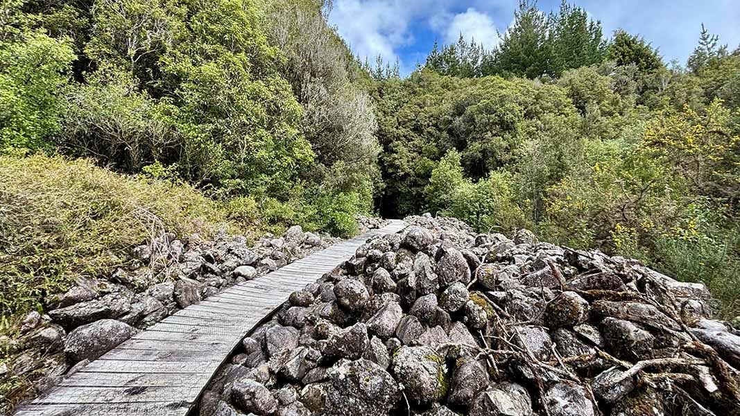 Goldsborough short walks