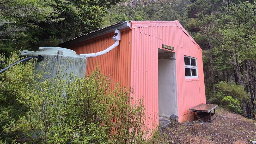 Gosling Hut, hut in Marlborough