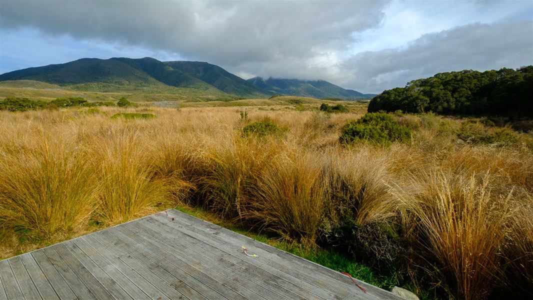Gouland Downs campsite, campsite in Tasman