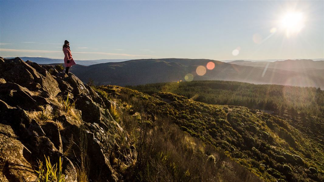 Grahams Bush Walkway