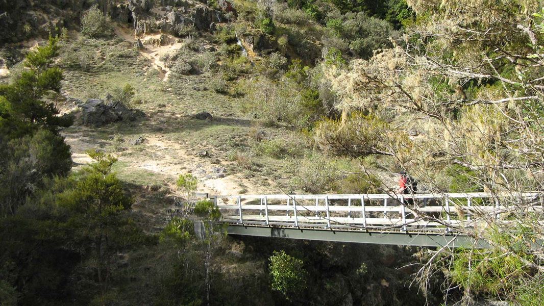Hacket Track, walk in Tasman