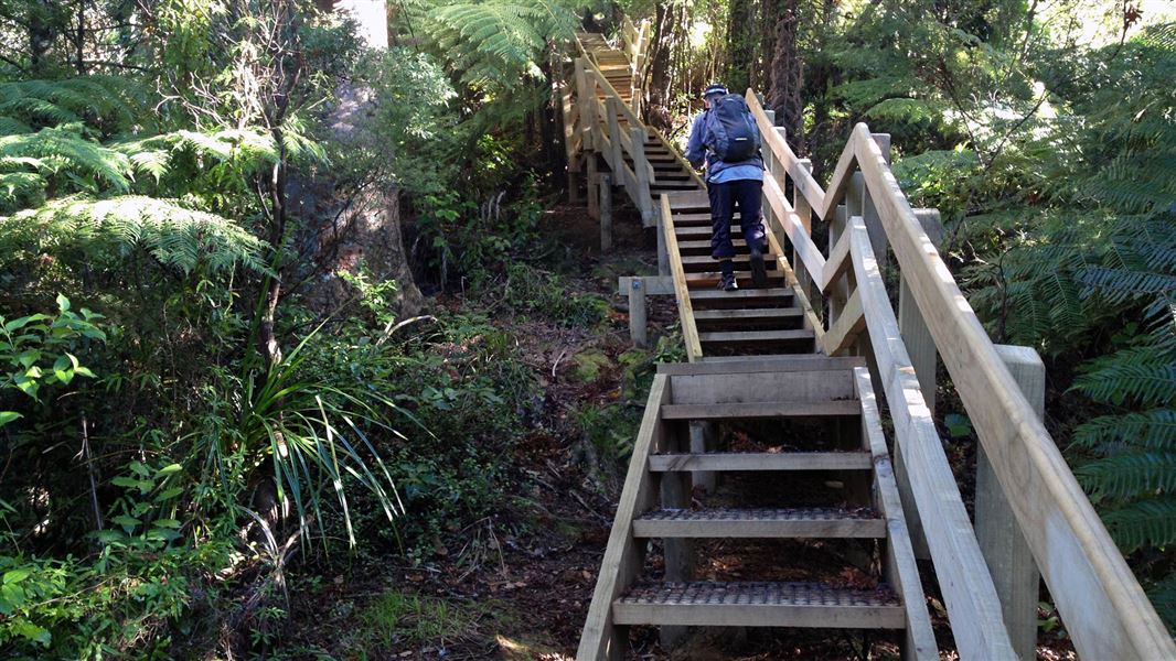 Hakarimata Summit Track